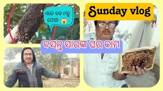 ବସନ୍ତ ସାରଙ୍କ Sunday re ଘରେ ଏତେ କାମ🏡/ଘର ଭିତରେ ଏତେ ବଡ଼ ମହୁଫେଣା 😱😱#sunday #odia #odisha