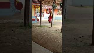 Puliyoor kali theyyam peraje     #peraje #sullia #theyyam_status_video #theyyamsofmalabar #theyyam