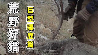 荒野狩猎：骑马深入原始丛林，成功捕获巨型骡鹿，烤着吃就是香