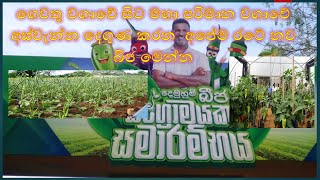 c i c new seeds ගෙවතු වගාවේ සිට මහා පරිමාන වගාවේ අස්වැන්න දෙගුණ කරන නව බිජ මෙන්න