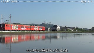 近江鉄道物語　2022.5/2･4：最後の田　　808F ＆ 809F　　　巛巛