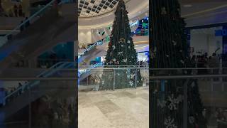 😍ലുലുവിലെ പടുകൂറ്റൻ🎄🎅Christmas tree🌲💕 #shortvideo #christmas #trivandrum #lulumall #trending