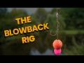 How to Tie a Blowback Rig for Carp Fishing: A Guide for Carp Anglers