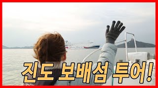 사자섬? 발가락섬? 진도 보배섬 투어 시작합니다~!