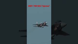 離陸からノリノリなアグレッサーのF-15戦闘機 #shorts #アグレッサー #飛行教導群 #aggressor #fighterjet #aviation