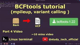 BCFtools tutorial | mpileup | variant calling #bioinformatics #tutorial