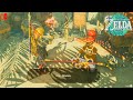 Legend of Zelda TOTK - Side Quests: Decorate With Passion & 