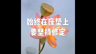 201807 始终在座垫上要坚持修定50412