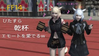 【FF14】【モンハン】ひたすら乾杯エモートを眺めるw【FinalFantasyXIV】【MonsterHunter】