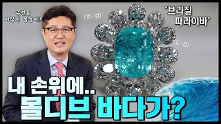 GD's pick✨- 투어멀린 계의 귀족🫅주변을 파-랗게 물들이는 파라이바! 명품브랜드에서도 엄청 출시되는 중이라고?🤫