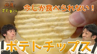 今しか食べられない！？お宝ポテトチップス【北海道グルメ】