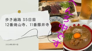 【歩きお遍路36日目】逆打ちで遍路道を歩いていく四国八十八ヶ所霊場巡り 第12番札所焼山寺　11番札所藤井寺　#お遍路