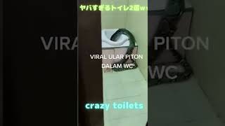 衝撃映像　ヤバすぎるトイレ2選ww　😍crazy toilets 😂