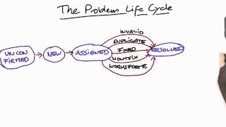 Problem Life Cycle - Software Debugging