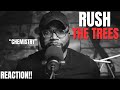 first time hearing Rush - The Trees (Reaction!!)