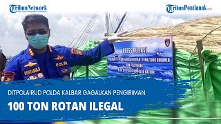 Ditpolairud Polda Kalbar Gagalkan Pengiriman 100 Ton Rotan Ilegal