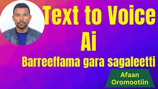 Text to Voice/Barreeffama Gara Sagaleettii Jijjiiruu/