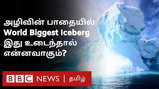 Chennai-ஐ விட 4 மடங்கு பெரிய பனிப்பாறை \