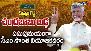 పసుపుమయంగా కుప్పం..CM Chandrababu Kuppam Tour Updates | AP News | TV5 News