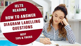 Best Tips and Tricks || IELTS Reading – How To Answer Diagram Labelling Questions