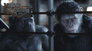 War for the Planet of the Apes | "I Am Like Koba"  Deleted Scene | 20th Century FOX