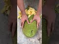 Jackfruit peeling is so #satisfying 😍🥭💚