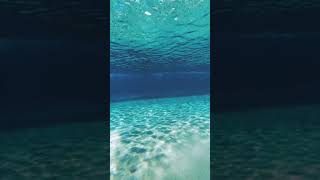 Beautiful Under water shot of a wave and how beautiful it looks as it rolls over you. (#shorts_ )
