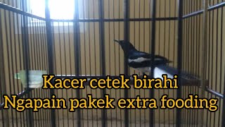 menentukan rawatan Kacer birahi cetek atau dalem