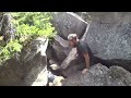 appalachian trail the hardest mile hd