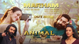 ANIMAL: Marham (Pehle Bhi Main) (Song) Ranbir Kapoor,Tripti Dimri |Sandeep #song #youtube