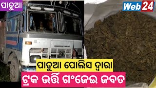 ପାଡୁଆରେ  ଟ୍ରକ ଭର୍ତ୍ତି ଗଂଜେଇ ଜବତ