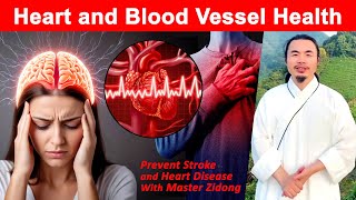 How to Prevent Heart Disease,  Improve Blood Vessels Health to Prevent Heart Attack and Stroke