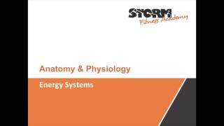 The Energy Systems