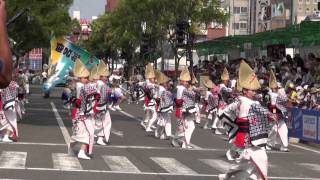 よさこい連　伊呂波 第62回よさこい祭り 本祭1日目 追手筋 南側