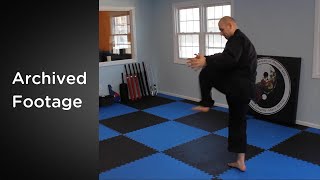 Blue Belt Kempo (Rake \u0026 Break) | Archived Martial Arts Techniques