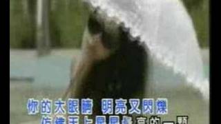 冬天里的一把火~费翔