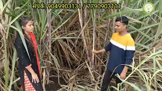 को 86032 वरायटीचा 12 महीण्याचा जबरदस्त ऊस. co 86032 sugarcane variety in marathi