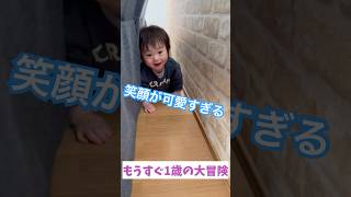 【かわいすぎ】赤ちゃん探検隊！ソファと壁の間はミニ洞窟 ＃shorts #ショート動画 #赤ちゃん #あおちょり #可愛い　#2歳差育児