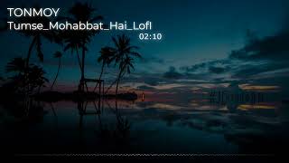 Tumse Mohabbat Hai (Lofi) TONMOY Latest Hindi Song 2022