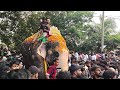 pazhanji gaja sangamam 2024 പഴഞ്ഞി ഗജ സംഗമം 2024 pazhanji kerala india youtube festival