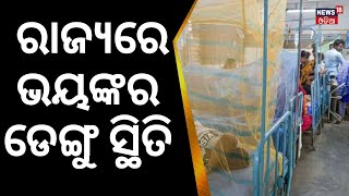 ରାଜ୍ୟରେ ଭୟଙ୍କର ଡେଙ୍ଗୁ ସ୍ଥିତି  | Dengue cases continue to rise in Bhubaneswar |  Odia News