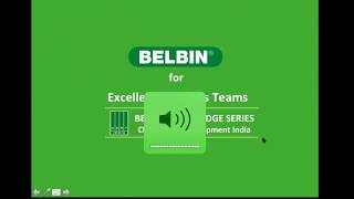 Belbin knowledge series 7 - Belbin for excellence in sales teams