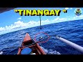 Part437 pacific adv.| TINANGAY Ng skipjack tuna Ang PATAW Kong areya