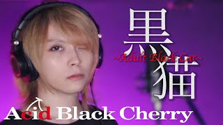 【黒猫〜Adult Black Cat〜/Acid Black Cherry】死ぬほどセクシーに【歌ってみた】