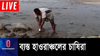 ১ লাখ ৬৭ হাজার হেক্টর জমিতে বোরো আবাদের লক্ষ্য || Kishoreganj Boro Agri Cultivation