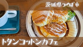 【カフェ】トタンコットンカフェに行ってきた