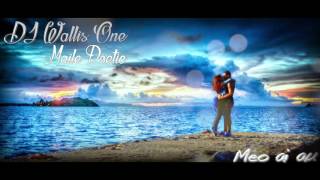 DJ Wallis One Ft Maile Poetic - Meo ai au (Love Song 2K16)