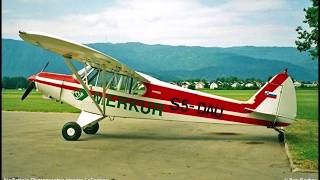 VQ Piper Super Cub 30cc