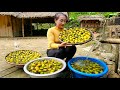 Harvesting soaked persimmons - Dessert, fresh fruits are popular in Vietnam | Ly Thi Tam