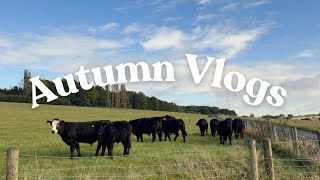 Life admin day and doing scary things  - Autumn Vlogs Ep2